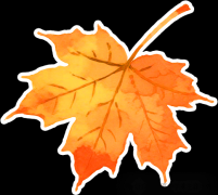 <b>国度电网2025最新录用Top10高校出炉！</b>